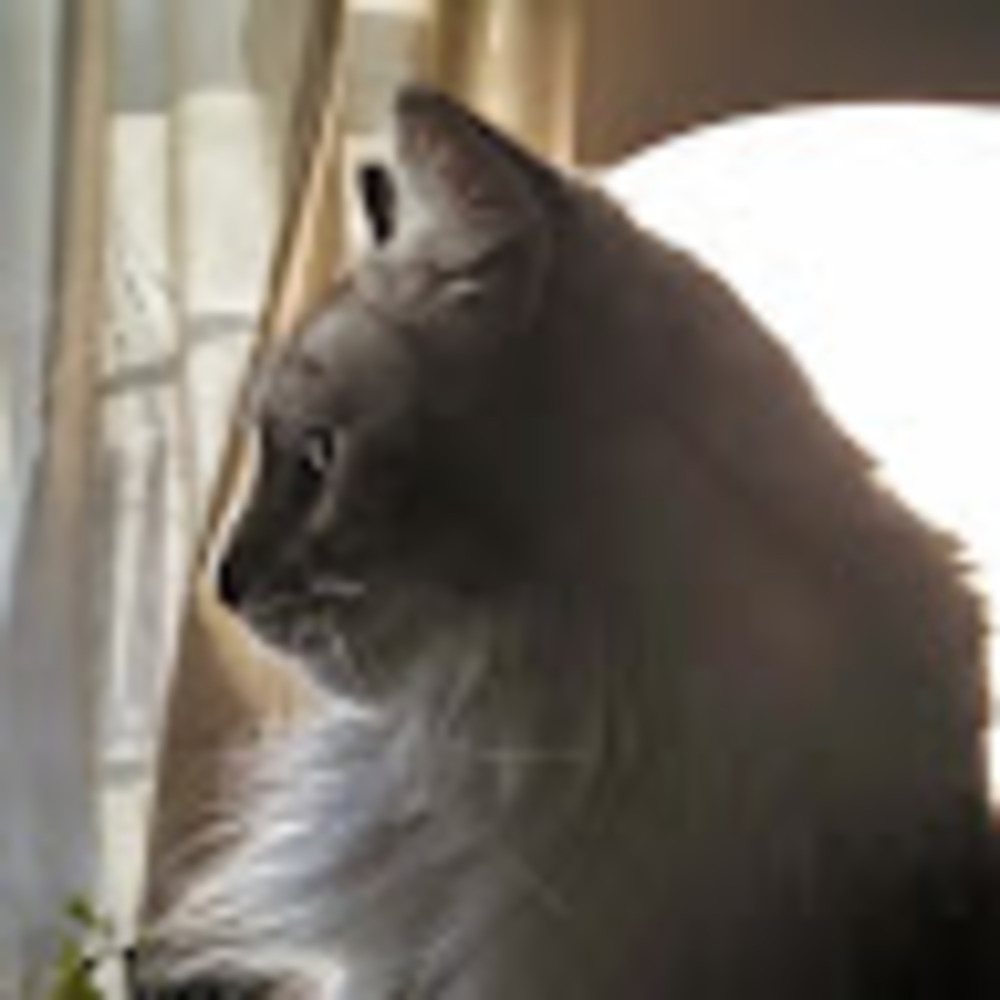 Meet your Posher, Heddi